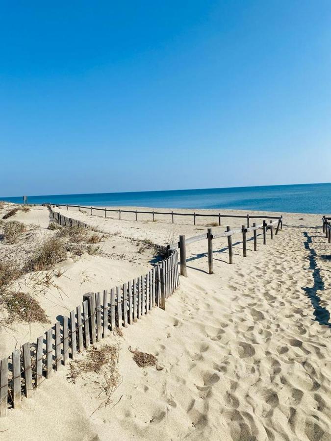 Bella Vista ,acces Direct Plage, Front De Mer, Vue Panoramique